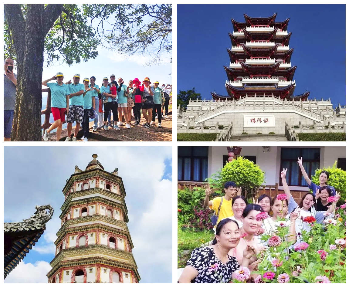 đội x&acirc;y dựng mỹ phẩm rhine