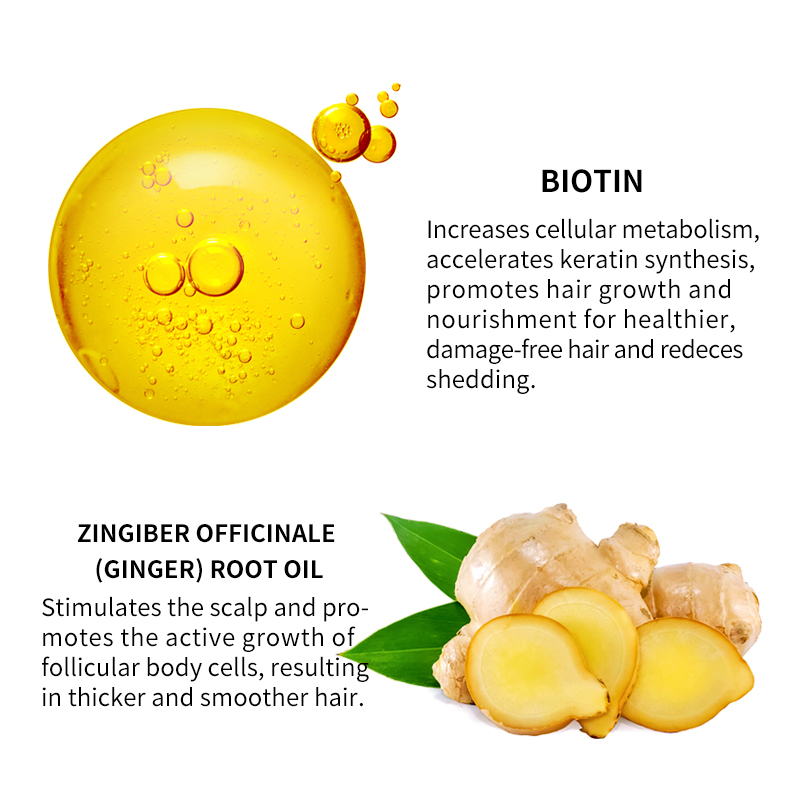 Serum mọc tóc thảo dược với Biotin & Gừng